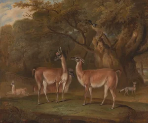 Lamas und ein Fuchs in einer bewaldeten Landschaft